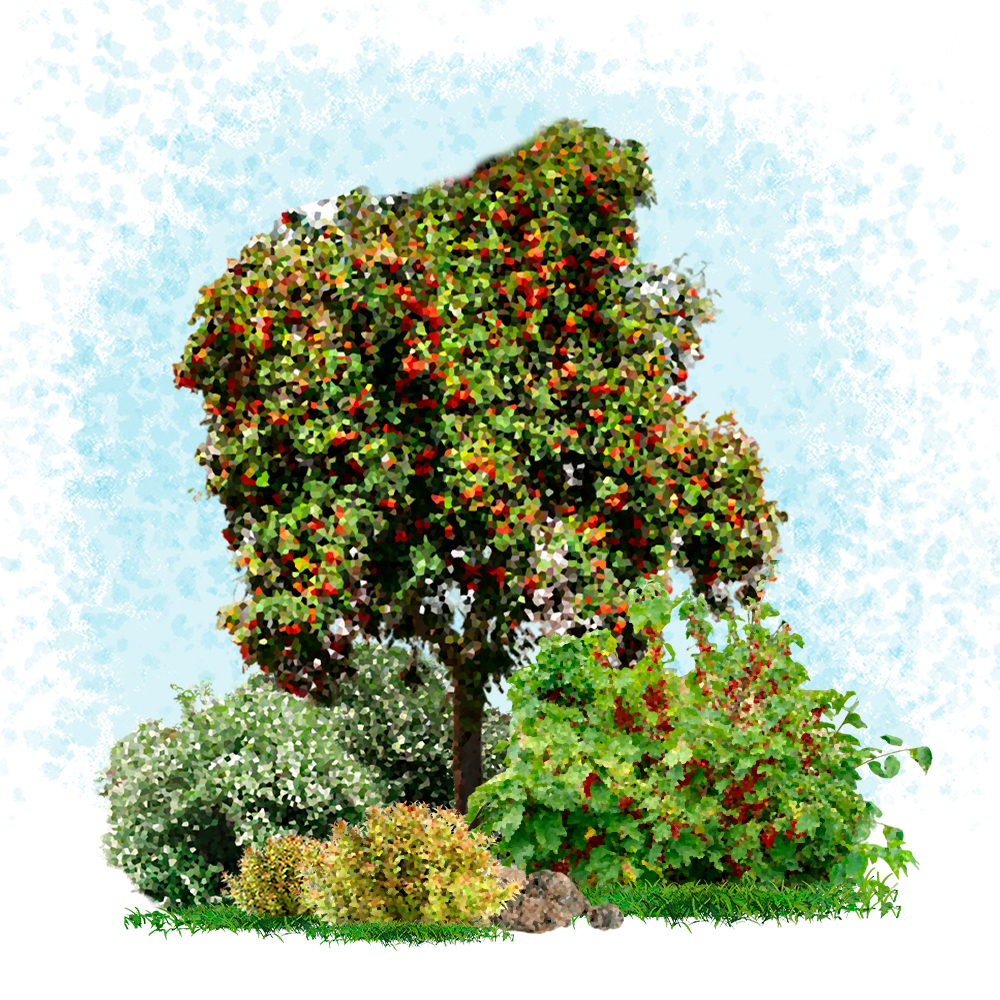 Макет2.jpg Макет2.jpg